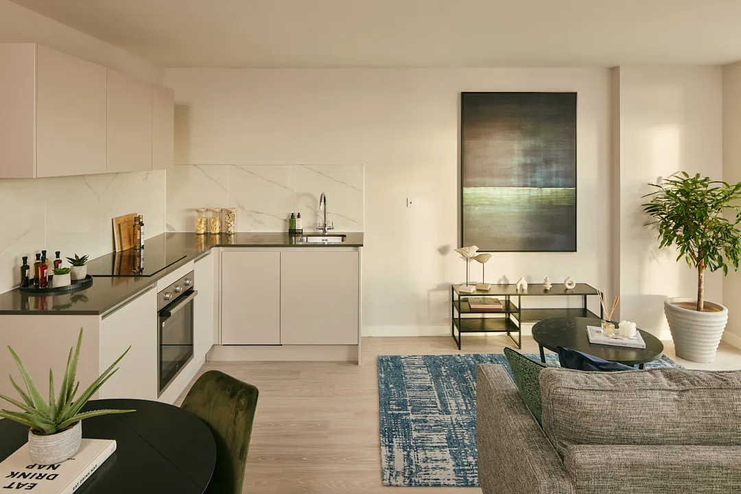 Studio apartment showing kitchen and lounge area