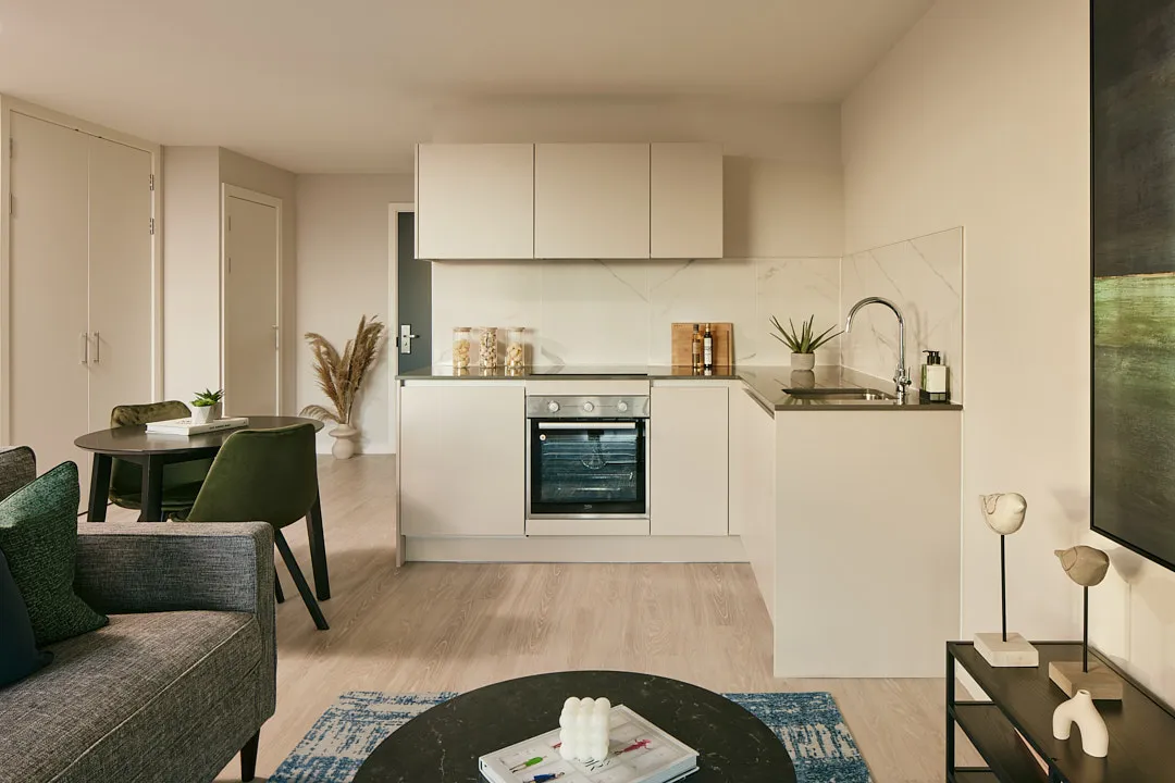 Studio apartment showing kitchen and lounge area